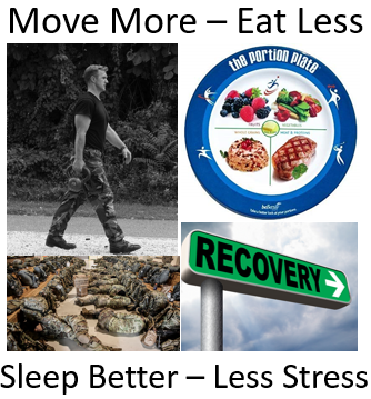 Move More - Eat Less - Sleep Better - Less Stress!
