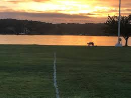 Navy SEAL Mental Toughness Through Physical Training