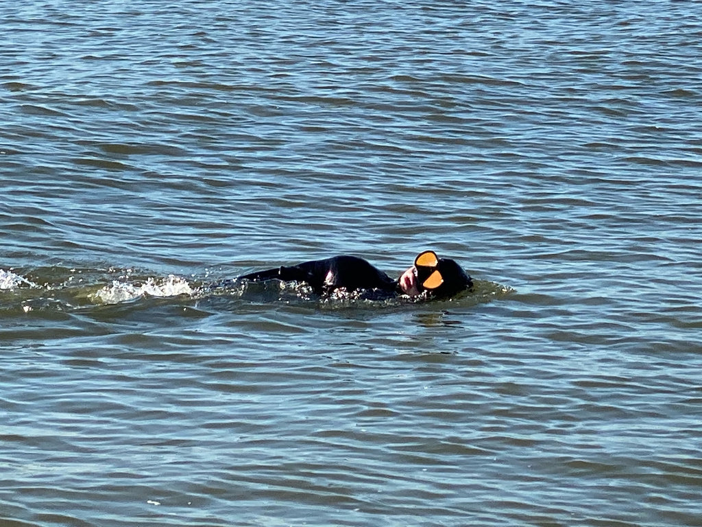 New Swim Workout for Air Force Special Warfare (The AF 50-50 Workout)