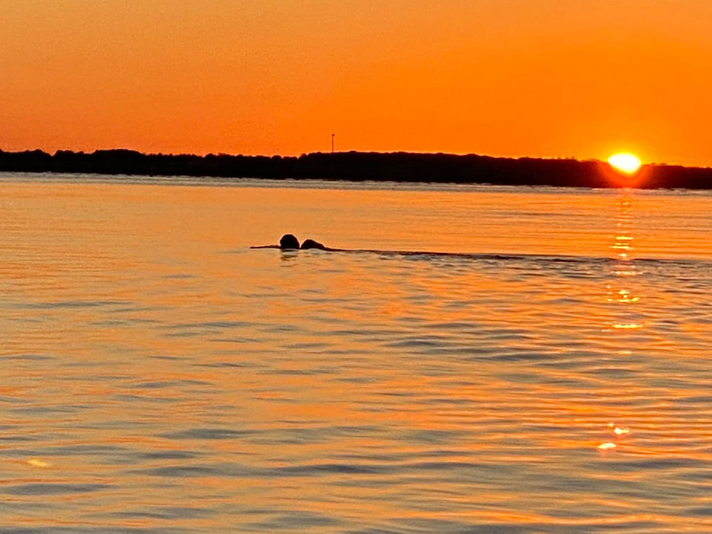 SMART Goals for Special Ops Recruits / Candidates