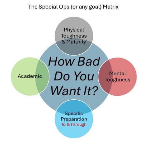 The How Badly Do You Want It Matrix (For Any Goal)