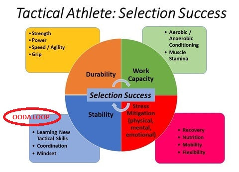 Building Your Tactical Fitness Base: Training to Complete on the Test and the Training